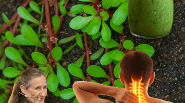 ☕🍌 Banana-Coffee Elixir: The Morning Hack to Ignite Your Energy and Focus