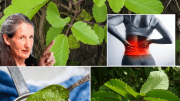 🧄🥤🍯 Garlic, Coca-Cola & Honey Elixir Unveiled: A Surprising Health Revolution