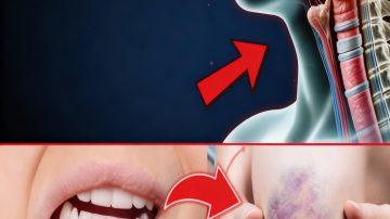 🌿💚 The Forbidden Miracle Leaf: Kalanchoe Pinnata’s 17 Gentle Secrets to Revive Kidneys, Skin & Vitality Overnight!