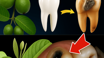 💆‍♀️ Onion Juice Hair Miracle: Transform Your Locks in Just 7 Days