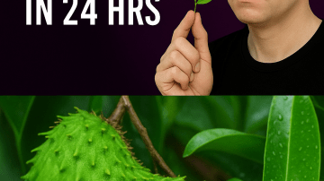 🍃 The Leaf That Fights Decay: Guava’s Ancient Secret to a Cavity-Free Smile 🦷