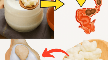 👑 The Ancient Tonic: Unlock the Powerful, Science-Backed Benefits of Garlic with This Simple Daily Habit