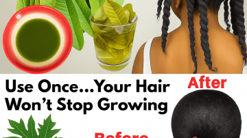 🌸✨ THE UTERINE WHISPER: 3 REMEDIES CYSTS HATE ✨🌸