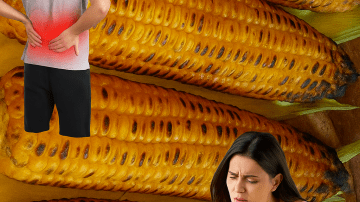 👑 The Ancient Vigor: Discover Sida Acuta—The Hidden Superherb That Can Transform Your Wellness Journey