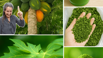 ⚡️ The 2-Ingredient Morning Hack That Fires Up Your Energy and Back