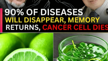 🌿 Unlocking the Secret of the Ancients: How This Humble Seed May Quiet Your Cough and Restore Your Gut 🤫