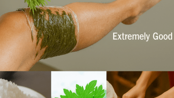 El secreto que un traumatólogo mexicano de 97 años no quiso llevarse a la tumba: este alimento de todos los días está regenerando rodillas en miles de abuelitas mexicanas