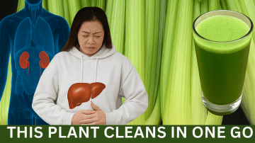 🧠 The Scarlet Secret: Rewiring Your Brain with Amaranth