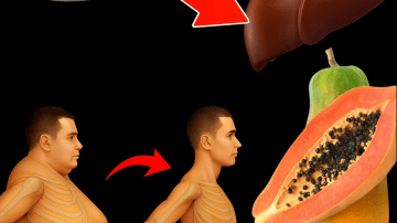 Unlock Your Body’s Secret Filter: The Daily Tonic That Supports Kidney and Heart Health