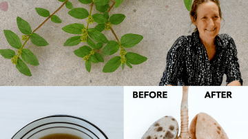 How to Get Rid of Rats and Cockroaches in Just ONE Night – The Mexican Trick Everyone Is Talking About