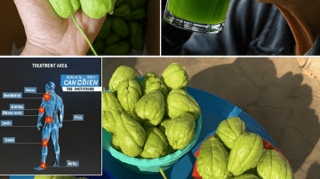 How to Get Rid of Rats and Cockroaches in Just ONE Night – The Mexican Trick Everyone Is Talking About