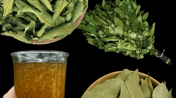 How to Get Rid of Rats and Cockroaches in Just ONE Night – The Mexican Trick Everyone Is Talking About