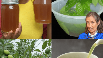 Your Knees Hurt, Your Energy Dips: The $1 Vegetable That Can Change Your Life