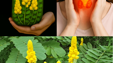 🌿 Holy Basil: The Ancient Secret to a Healthier, Brighter Smile