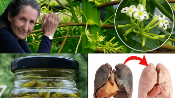 ✨ Brighten Skin Safely: The Simple DIY Secret to Clear, Soft Hands and Feet