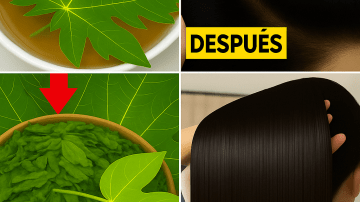 ⛩️ ¿CÓMO VIVIR 100 AÑOS? 🤫 Los Secretos Anti-Edad que los Médicos de Japón OCULTAN a Occidente