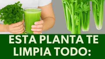 ⛩️ ¿CÓMO VIVIR 100 AÑOS? 🤫 Los Secretos Anti-Edad que los Médicos de Japón OCULTAN a Occidente