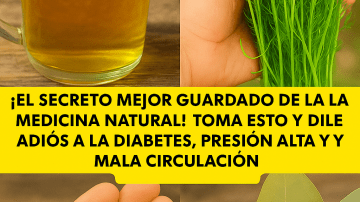 🧄⚔️ AJO CRUDO: EL ESCUDO SECRETO DE LOS MAYAS CONTRA TODO ⚔️🧄