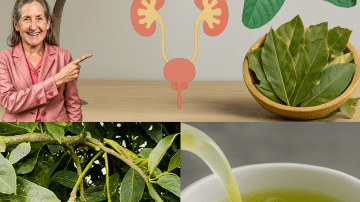 Unlock Your Body’s Secret Filter: The Daily Tonic That Supports Kidney and Heart Health