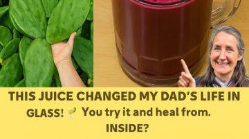 🌿💚 The Forbidden Miracle Leaf: Kalanchoe Pinnata’s 17 Gentle Secrets to Revive Kidneys, Skin & Vitality Overnight!