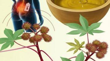 🦷 LA VERDAD OCULTA: ¿EL BLANQUEAMIENTO DENTAL EN SOLO 2 MINUTOS?