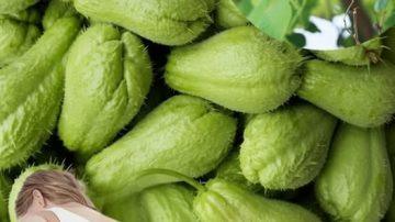 🍓 ELIXIR ROJO: BATIDO HORMONAL PARA DISOLVER QUISTES