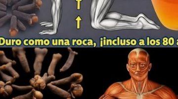✨ EL ANTIBIÓTICO OLVIDADO: CÓMO EL AJO ACABA CON 14 TIPOS DE BACTERIAS Y MÁS ✨