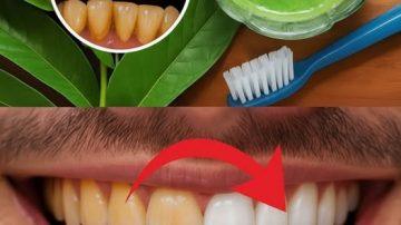 ✨ ¡MIRA COMO ME VEO A LOS 30 TENIENDO 60! EL SECRETO CASERO QUE TENSARÁ TU ROSTRO HASTA LOS 70 AÑOS ✨