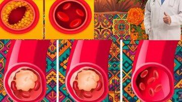 🍏 EL SECRETO ESCONDIDO: 17 HÁBITOS PARA UN COLON FUERTE Y SALUDABLE