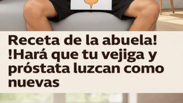 ✨ EL ÁRBOL MILAGRO: 14 PODERES DE LA MORINGA QUE TRANSFORMAN TU SALUD ✨