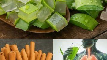 ✨ EL TRÍO PODEROSO: LA SEMILLA OSCURA Y LAS ESPECIAS QUE BLINDAN TU CUERPO ✨