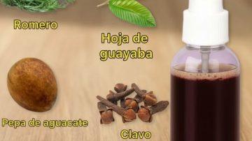 🍯 EL TRÍO DE ORO: MIEL, CLAVO Y AJO PARA EL CORAZÓN Y LA INMUNIDAD