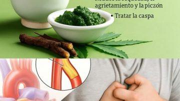 🍅 EL ELIXIR ROJO: EL SECRETO COREANO QUE REJUVENECE EN 10 MINUTOS