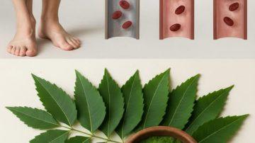 ✨ EL ANTIBIÓTICO OLVIDADO: CÓMO EL AJO ACABA CON 14 TIPOS DE BACTERIAS Y MÁS ✨