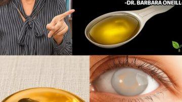 🥚 El Campeón de la Nutrición: Huevo Hervido, Cerebro y Músculos de Acero