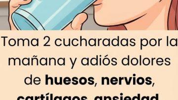 🥑 El Poder Oculto de la Semilla de Aguacate: El Tesoro de la Salud Integral