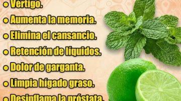 ✨ EL TRÍO PODEROSO: LA SEMILLA OSCURA Y LAS ESPECIAS QUE BLINDAN TU CUERPO ✨