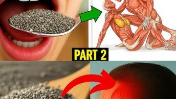 🥛✨ Papaya Sap Secret: 9 Benefits You’ve Been Ignoring