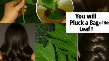 🍃 Papaya Secret: Reverse Gray Hair and Achieve 3-Day Thickness Naturally 🤯