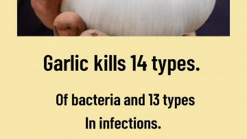 How to Get Rid of Rats and Cockroaches in Just ONE Night – The Mexican Trick Everyone Is Talking About