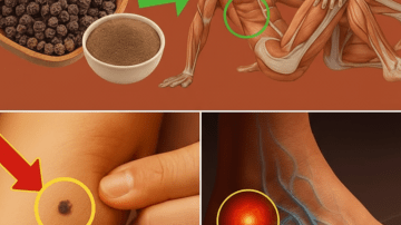 🛡️ UNLOCK YOUR BODY’S SHIELD: 8 SUPERFOODS THAT REWIRE YOUR DEFENSES