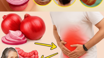 🛡️ UNLOCK YOUR BODY’S SHIELD: 8 SUPERFOODS THAT REWIRE YOUR DEFENSES