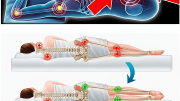 🥑💖 AVOCADO PIT MAGIC: THE ANTI-AGING ELIXIR YOU TRASHED 💖🥑