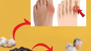 👑 Nature’s Unassuming Pharmacy: 30 Powerful Benefits and Critical Safety Guide for Euphorbia Hirta