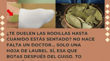 💜 ALBAHACA MORADA: EL TESORO PÚRPURA QUE TRANSFORMA TU SALUD 👁️