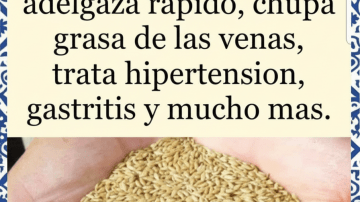 💜 ALBAHACA MORADA: EL TESORO PÚRPURA QUE TRANSFORMA TU SALUD 👁️