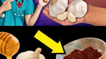 💜 ALBAHACA MORADA: EL TESORO PÚRPURA QUE TRANSFORMA TU SALUD 👁️