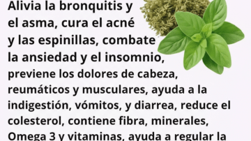 🍅 El “Oro Rojo” de tu Cocina: Un Tomate al Día Transforma tu Salud ❤️