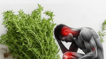 🍅 El “Oro Rojo” de tu Cocina: Un Tomate al Día Transforma tu Salud ❤️