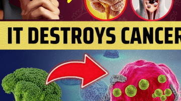 🧄🌙 The 3-Night Reset: How to Use Garlic as a Gentle Nighttime Ritual for Deeper Sleep!